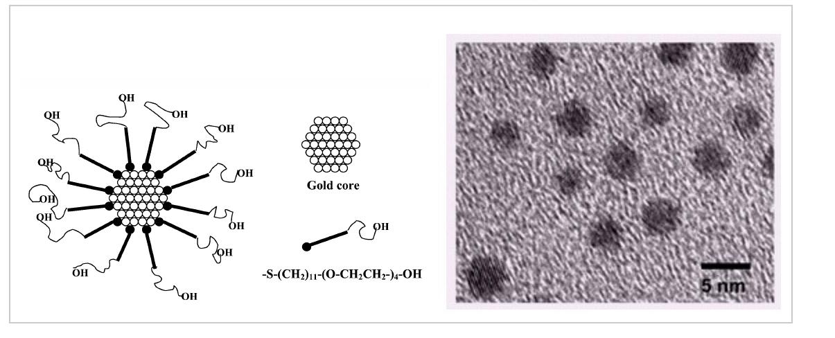Thioalkylated tetraethylene glycol