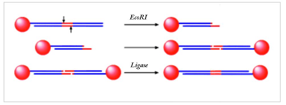 Towards Multistep Nanostructure Synthesis