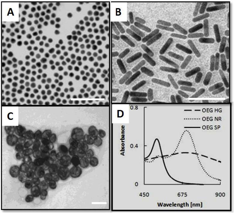 Nanoparticles in Biomedical Applications