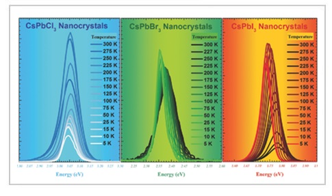 Giant Bandgap Renormalization and Exciton-Phonon Scattering