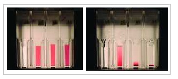 Sedimentation of Colloidal Nanoparticles