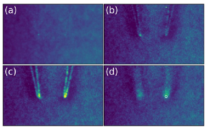 Effects of biomolecules on the electrokinetics of colloidal nanoparticles in liquid suspension