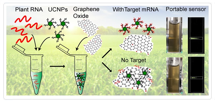 ACS Nano 2018 Graphene Oxide Sensors