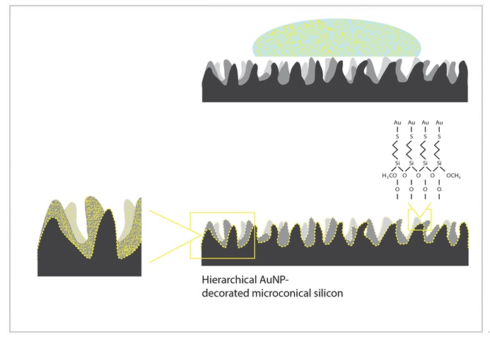 Cells on Hierarchically-Structured Platforms