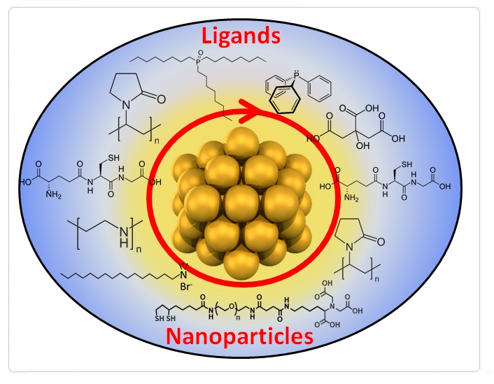 Chemical Reviews 2019 Ligands in Nanoparticles