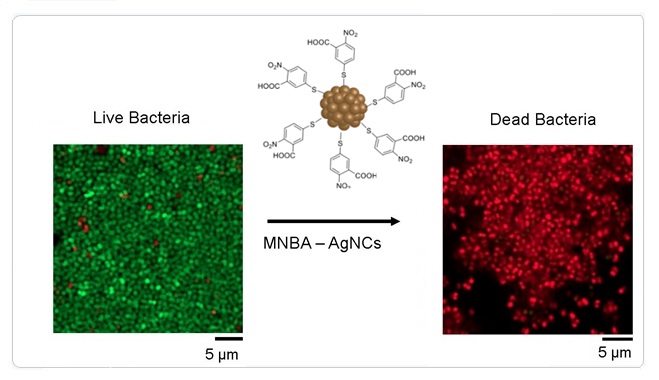 ACS Applied Materials Interfaces 2020 Silver Nanoclusters