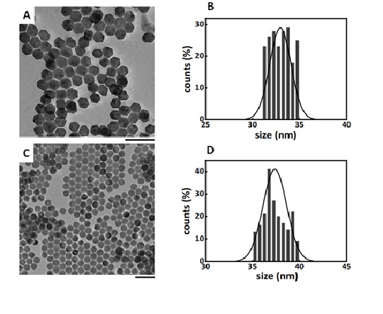 Detection of viral oligonucleotides using nanoparticles