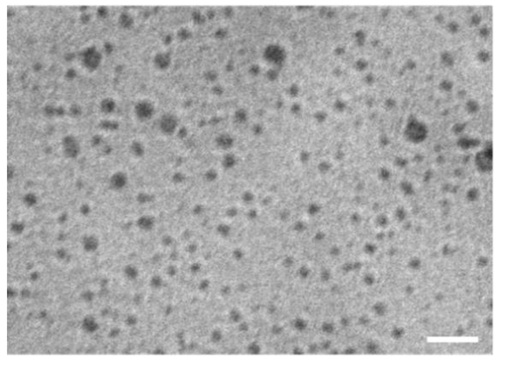 Silver nanoclusters as antimicrobial agents against a range of antimicrobial resistant pathogens