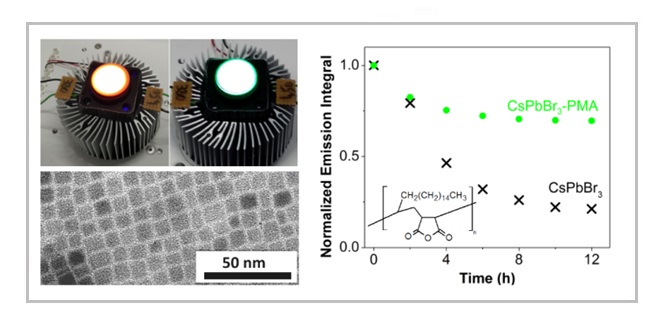 Polymer-Enhanced Stability of Inorganic Perovskite Nanocrystals