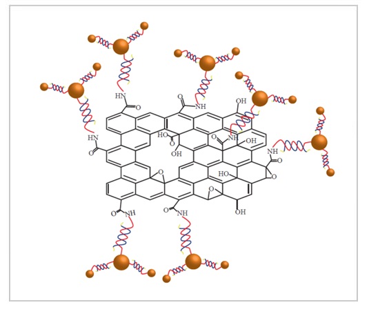 Gold nanoparticles on graphene oxide using DNA