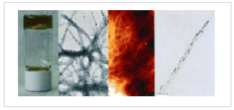 Shaping Supramolecular Nanofibers with Nanoparticles