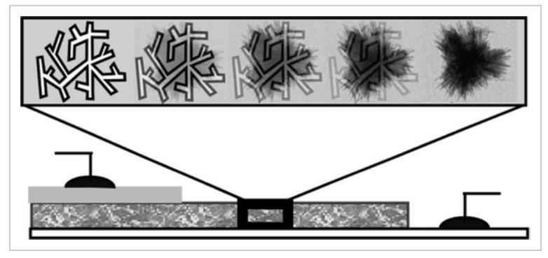 Hybrid Solar Cells with Prescribed Nanoscale Morphologies