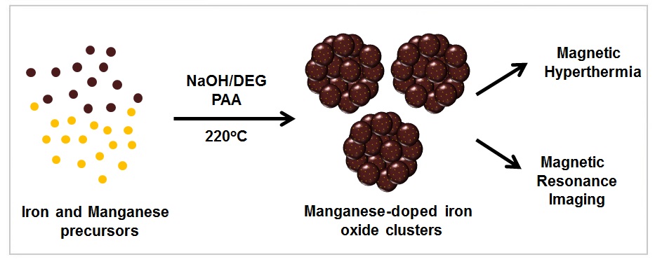 Manganese Doped-Iron Oxide Nanoparticle Clusters