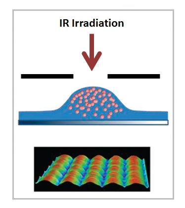 Directed organization of gold nanoparticles