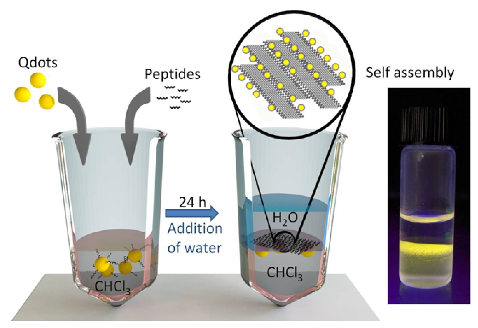 Thin film mesoscale organization of nanoparticles using biomolecular peptide tools