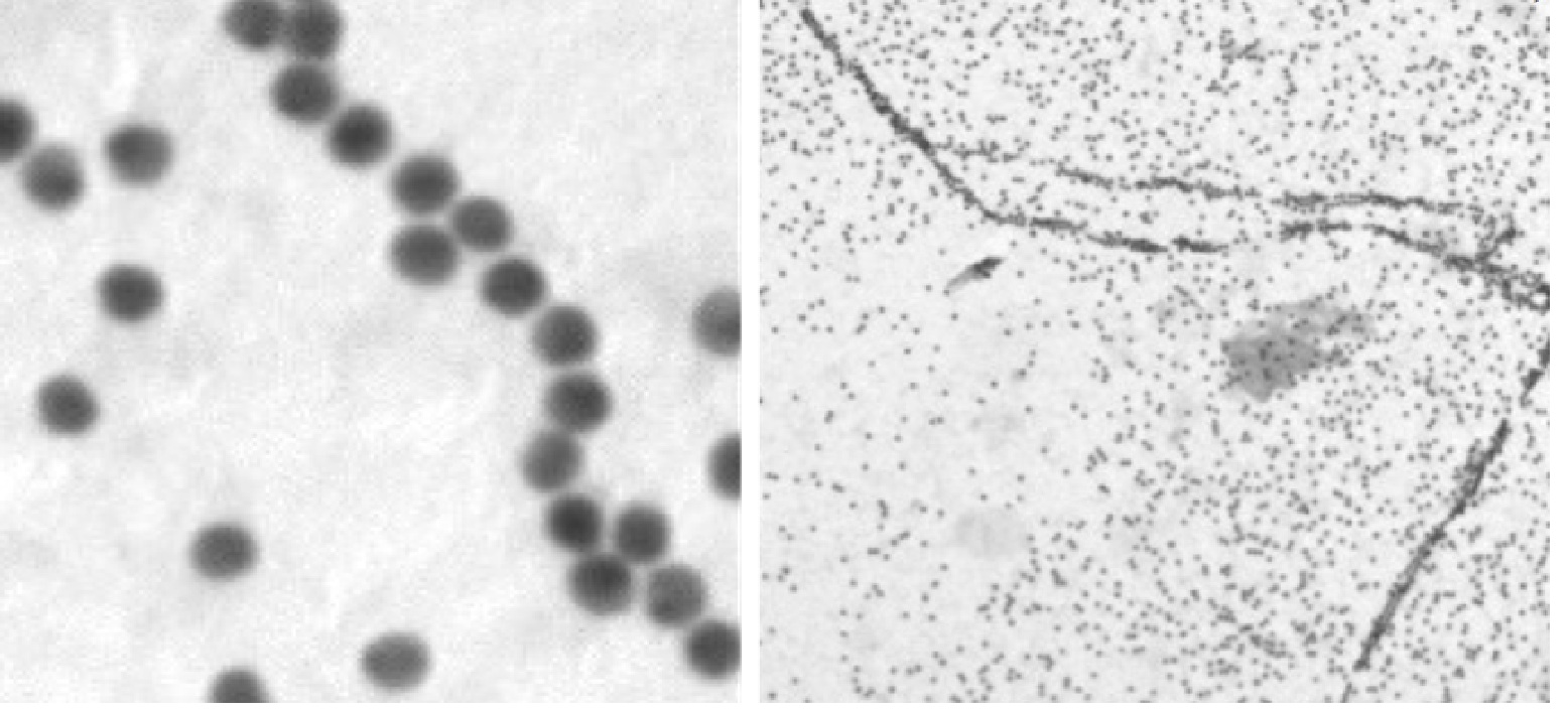 Programming Nanoparticle Assembly