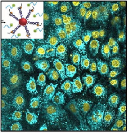 Nanoparticles in Sensing