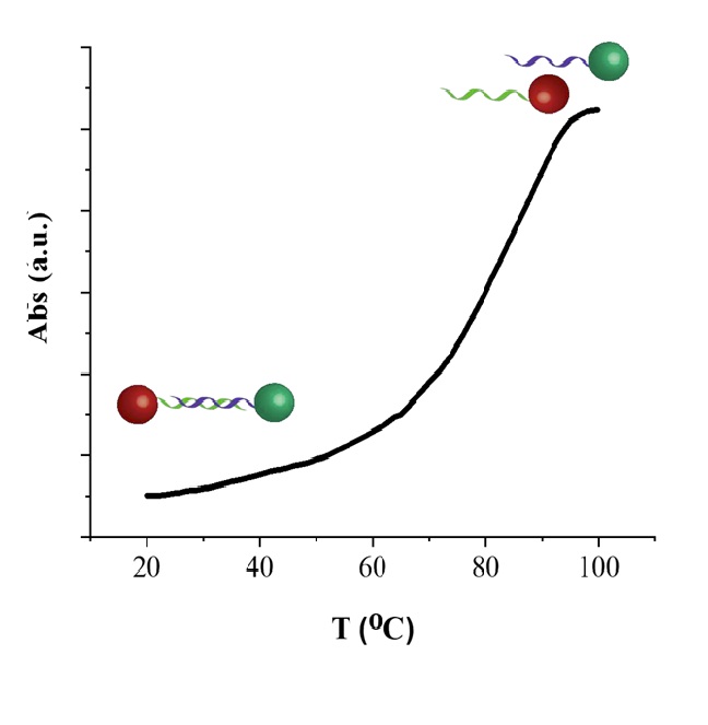 Optical response of gold and upconversion nanoparticles assembled via DNA interaction