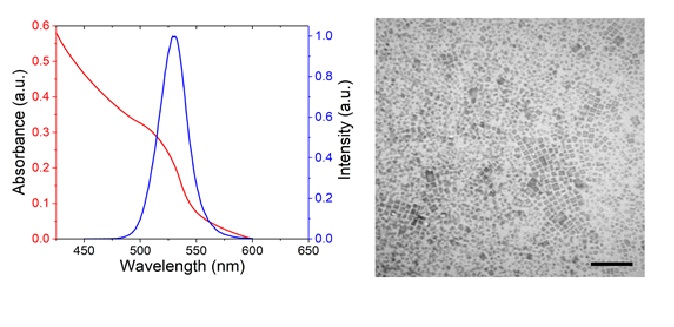 Resonant energy transfer properties of perovskite nanocrystals
