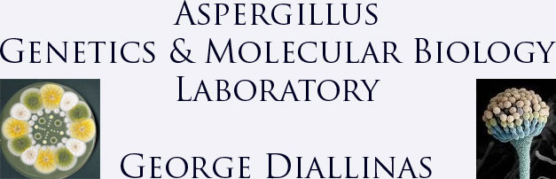 Aspergillus Genetics & Molecular Biology Lab