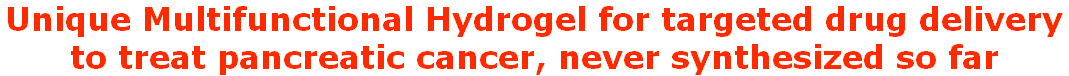 Unique Multifunctional Hydrogel for targeted drug delivery  to treat pancreatic cancer, never synthesized so far