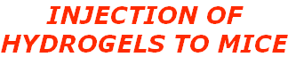 INJECTION OF  HYDROGELS TO MICE