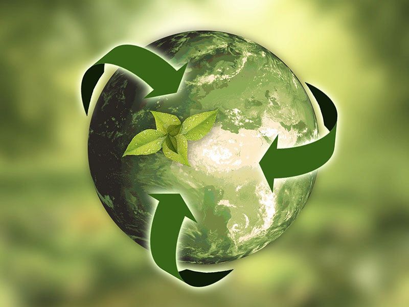 Earth Sustainability | Image by annca from Pixabay